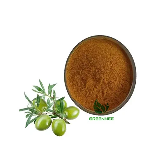 Olivenblattextrakt Oleuropein 20 %