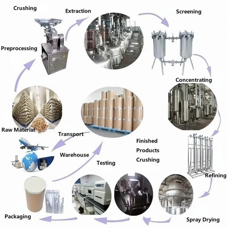 page-988-988 page-988-988