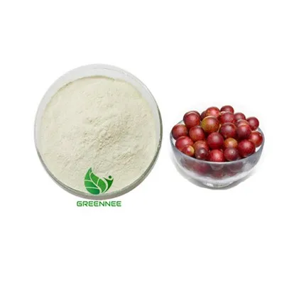 Camu Camu Obstpulver