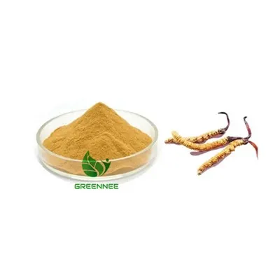 Cordyceps Militaris Cordycepin extrahieren 1% Cordycepin