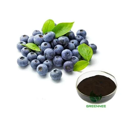 Europa Bilberry Extract Anthocyane 1–36% 25%