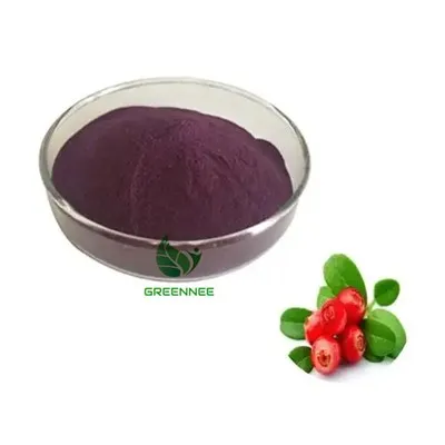 Bio-Cranberry-Fruchtextrakt Cranberry-Saftpulver Cranberry-Pulver