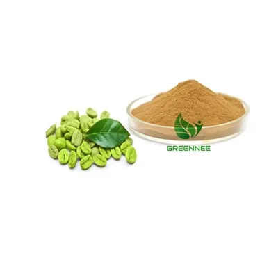 Grüne Kaffeebohnen -Extrakt Chlorogensäure 50% 98%