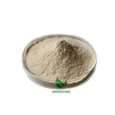 Additive Diastase-Enzym CAS 9000-92-4 Diastase additive Diastase