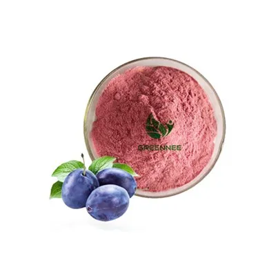 Prunkpulver