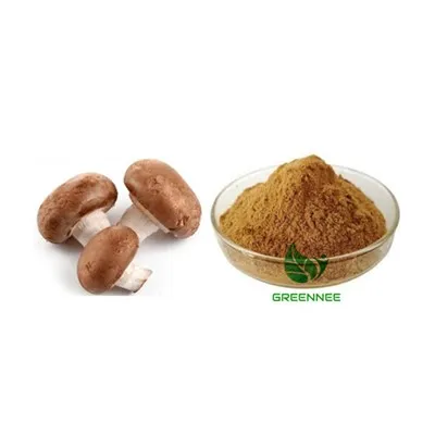 Shiitake -Pilzpulver
